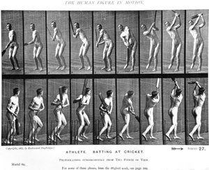 لاعب كريكيت ، من "حركة الحيوانات" ، 1887 بواسطة ايدويرد مويبريدج